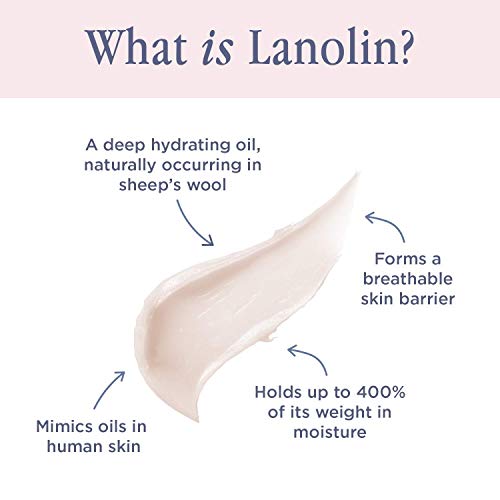 Lanolips Hand Cream - Lanolin Lotion with Rose Oil, Shea Butter & Vitamin E - Cuticle & Hand Cream for Dry Cracked Hands - Cruelty-Free, Dermatologist Tested - Rose (50ml / 1.69 fl oz)