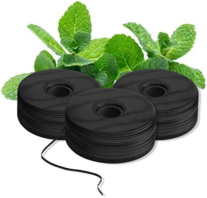 BURST Expanding Dental Floss Refills (32 Yards/3 Pack) | Mint Eucalyptus Aroma Bobbins | Woven | Stain-Absorbing | Vegan | Paraben, BPA & Cruelty-Free