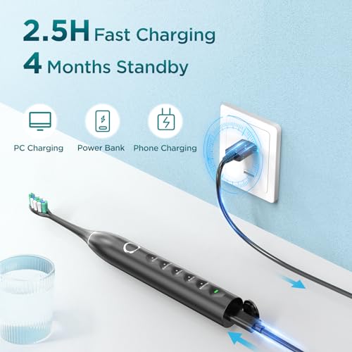 Electric Toothbrush for Adults with 8 Brush Heads, Sonic Toothbrush Rechargeable with a Holder & Travel Case, 2.5 Hours Charge for 120 Days Use