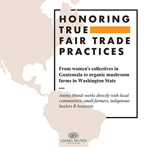 Anima Mundi Apothecary Butterfly Pea Flower Powder - Blue Healer - Use As an Organic Food Coloring or to Make Blue Butterfly Pea Flower Tea - May Support Healthy Skin & Nails (4.5 oz)