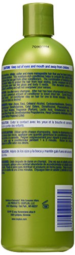 Isoplus Extra Virgin Oilive Oil Conditioner, 16 Ounce