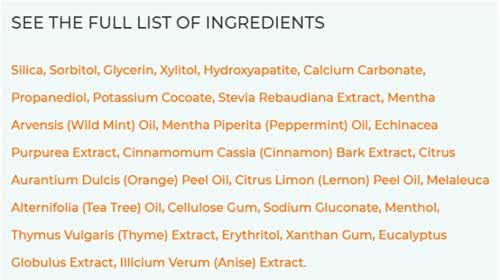 RiseWell Japanese Style Toothpaste, Natural