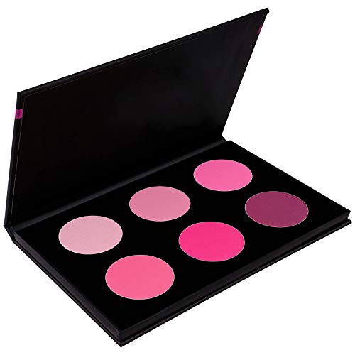 SHANY Shimmer & Matte Cool-Toned Blush Palette - Layer 5 - Refill for the 6 Layer Mini Masterpiece Collection Makeup Set