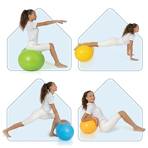 Milliard Peanut Ball Physio Roll for Exercise, Therapy, Labor, Birthing and Dog Training