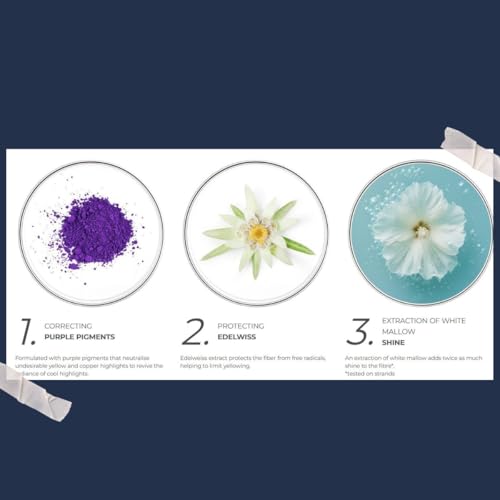 Phyto Purple No Yellow Shampoo - Colour Depositing Purple Shampoo, Anti Brass Toning Shampoo Neutralizes Yellow Tones and Enhances Shine|250 ml