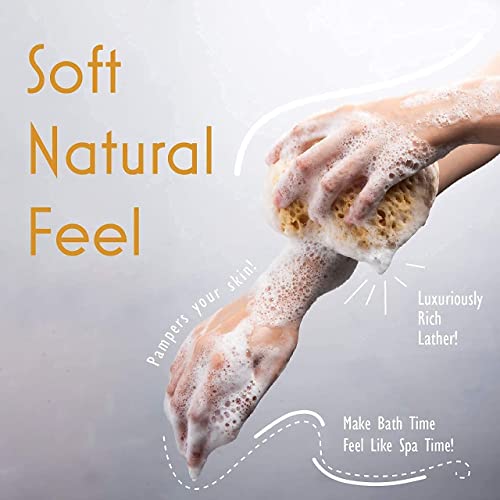 myHomeBody Bath Sponge, Foam Loofah, Body Scrubber for Bathing, Exfoliating Shower Pouf for Shower – Large Size, Lots of Lather, Curvy, 3 Pack