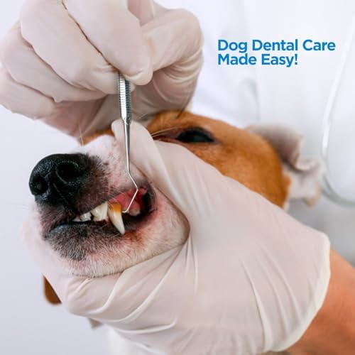 4tified Dental Tools Hygiene Kit 4 PCS French Stainless Steel Professional Teeth Cleaning Home Use Plaque Calculus Removal Tartar Scraper Scaler Fogless Mirror Dental Pick Vegan Leather case