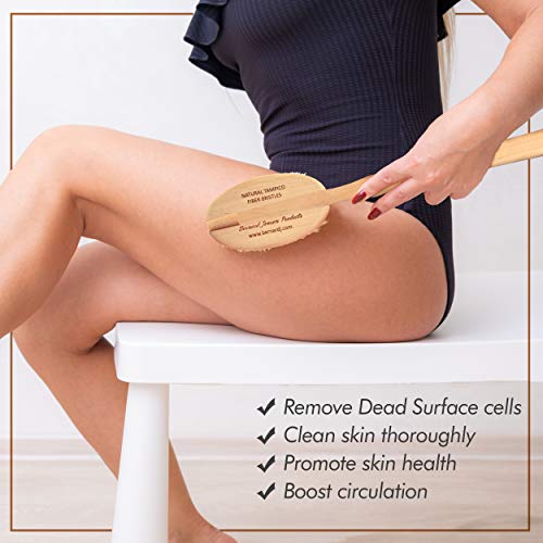 Bernard Jensen Natural Bristle Body Brush - 1 Brush for Dry Brushing, Exfoliation & Skin Care