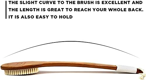 ICANdOIT-17.71Inch Natural Boar Bristles Anti-Slip Long Handle Bath Brush,Bent Handle Shower Scrubber for Exfoliating,Shower Back Brush,Exfoliation Set with Pumice Stone (1 Pack)