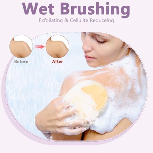 4 Pcs Dry Brushing Body Brush Exfoliating Body Brush Dry Brushing Body Brush for Lymphatic Drainage Back Circulation Improvement Dead Skin Remove Beauty Exfoliator