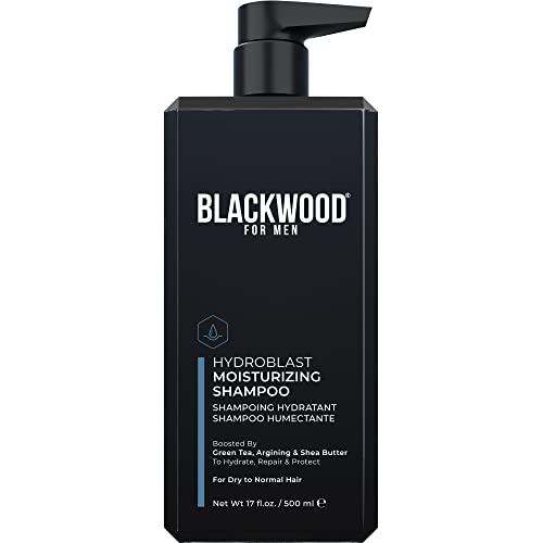 Blackwood For Men Hydroblast Moisturizing Shampoo - Men's Shampoo for Coarse, Dry, & Curly Hair - Infused with Ginseng & Ginger- Natural Vegan Formula -Sulfate Free, Paraben Free & Cruelty Free(17 Oz)
