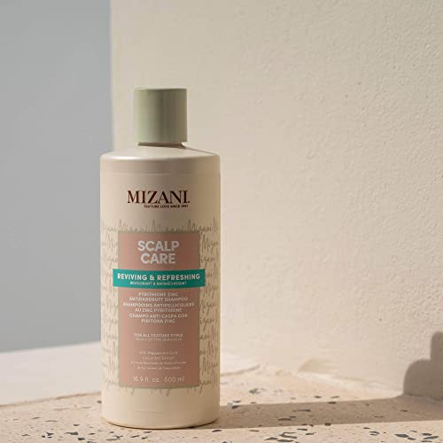 MIZANI Scalp Care Dandruff Shampoo - Cleanses Hair & Scalp, For Curly Hair