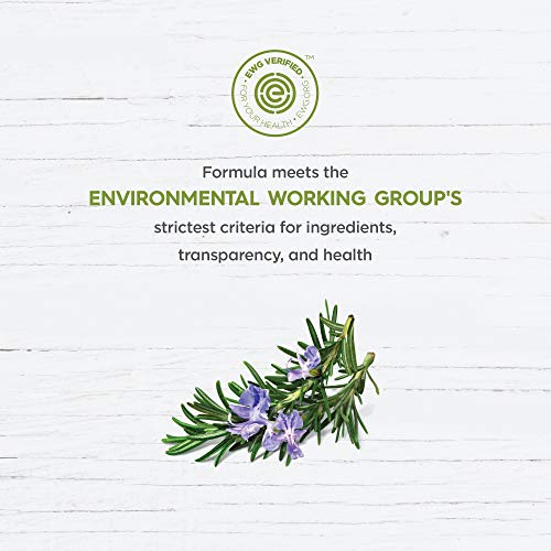 Avalon Organics Shampoo Rosemary, 11 oz