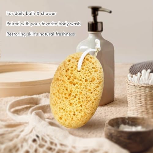 Sponges Shower, 3Pcs Soft Bath Sponges for Women Men, Wash Sponges for Body Face Multipack, Dense Foam for Gentle & Deep Cleansing, Ultra-Soft for Sensitive Dry Skin (Assorted Color Loops)