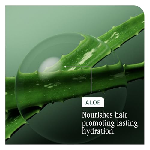 BIOLAGE Hydra Source Detangling Solution - For Dry Hair, Detangles & Controls Static For Less Frizz & Fly-Aways, Paraben-Free