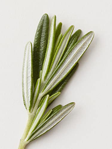 AG Care Stucco Matte Clay Paste