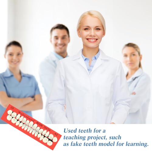 BBTO 6 Sets Acrylic Resin Fake Teeth artificial teeth Denture Replacement tooth prop Synthetic Resin Denture for Replacement, 112 Pieces, 23 A2