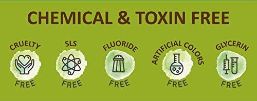 Bentodent Remineralizing Food Grade Organic Calcium Bentonite Clay Toothpaste Fluoride Free Natural Toothpaste for Adult & Kids - Mineral Toothpaste Sensitive Teeth Whitening (Premium Mint)