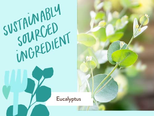 Babo Botanicals Eucalyptus Remedy Shampoo & Wash - Invigorating Eucalyptus & Rosemary Essential Oils -For all Ages - EWG Verified - Vegan - Cruelty Free