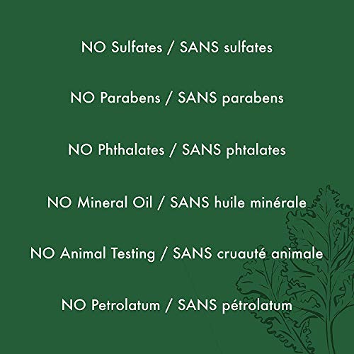 SheaMoisture Power Greens Curly Hair Shampoo and Conditioner Dry Hair Moringa Avocado to moisturize, 13 Fl Oz (Pack of 2)