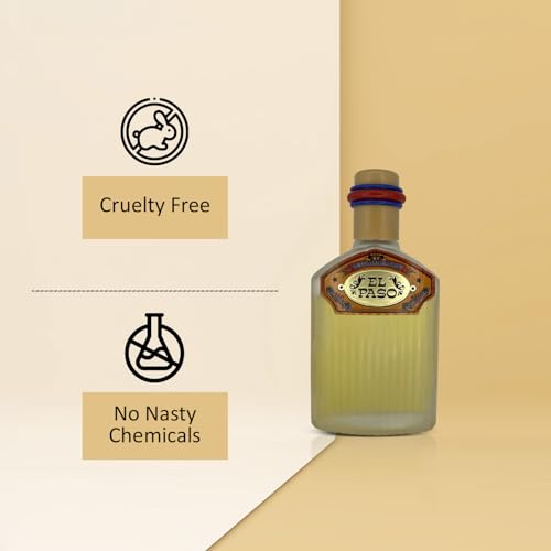 Lomani El Paso Eau de Toilette Spray for Men, 3.3 Ounce