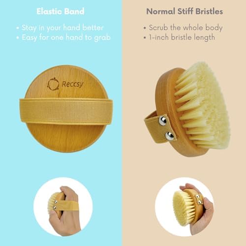 4pcs Dry Brushing Body Brush Set for Lymphatic Drainage-Natural Bristle Dry Skin Brush +Facial Dry Brush for Face+Dry Skin Exfoliating Scrubber+Wood Therapy Massage Tool. Gua Sha, Anti-Cellulite.