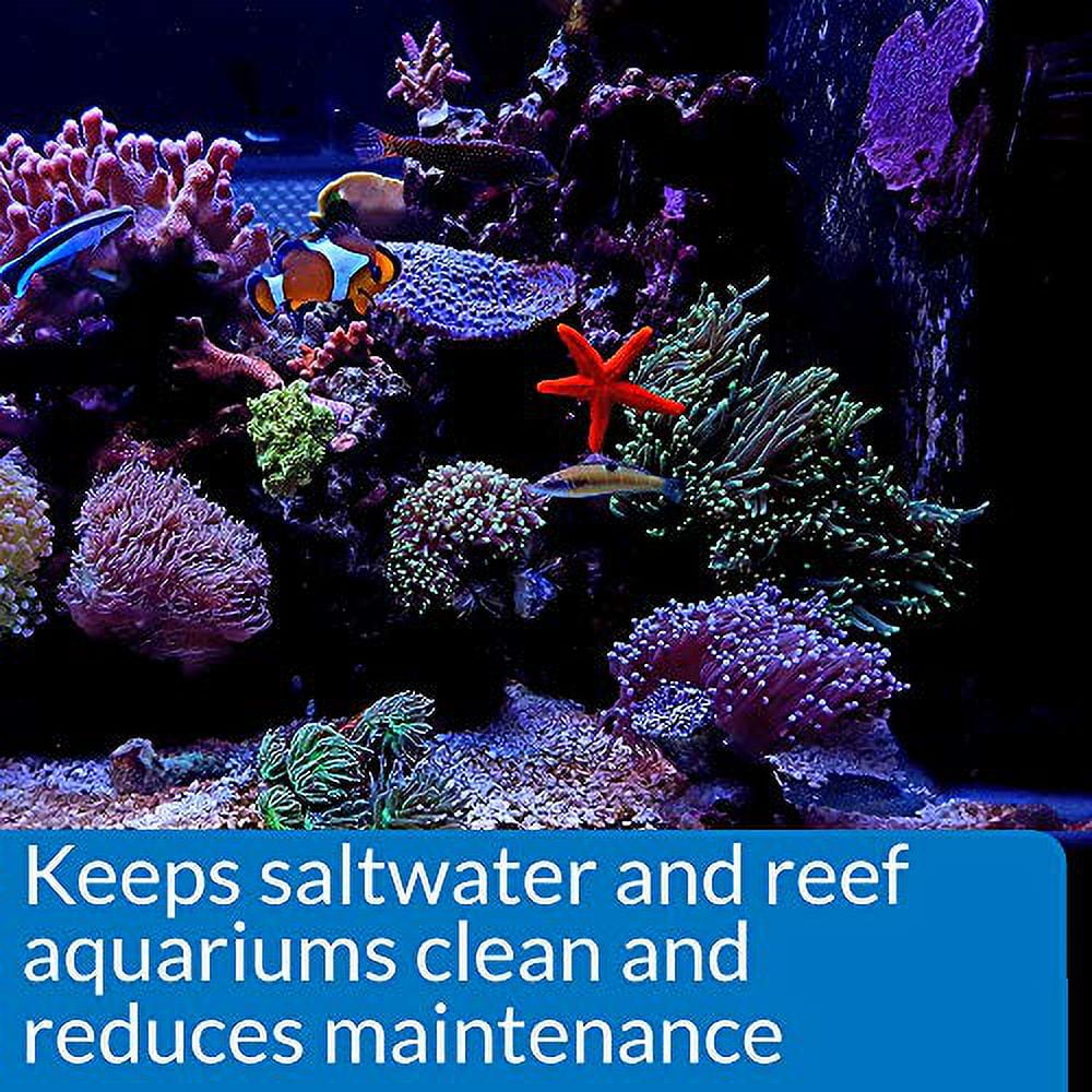 API Marine Stress Zyme Saltwater Aquarium Cleaning Solution 16-Ounce Bottle