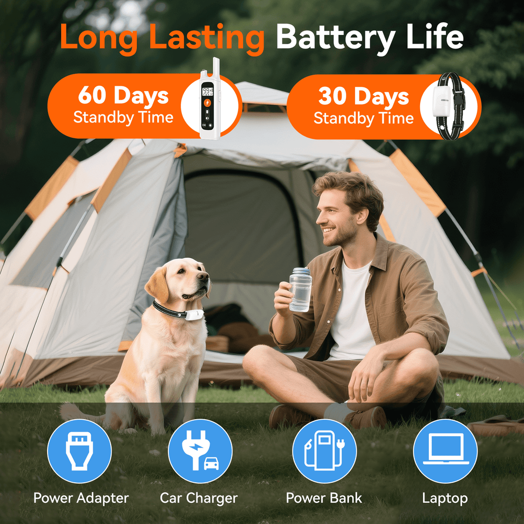 LAKWAR Dog Training Collar 2 Pack- IP67 Waterproof Rechargeable Shock Collars for Small Medium Large Dogs with 2624 ft Remote Range, Beep, Vibration, ShocK Modes & Safe Lock