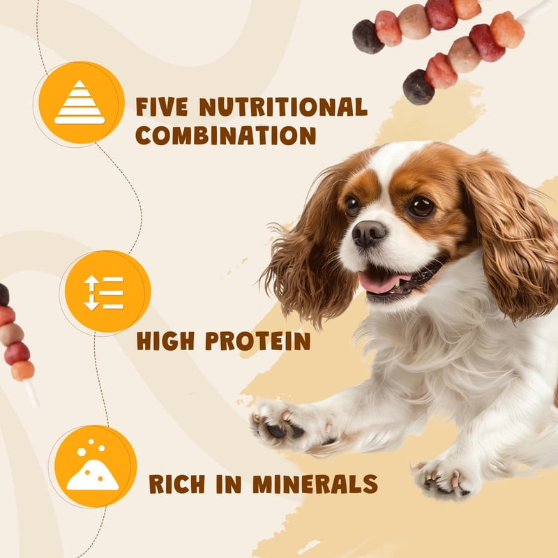 ASMPET Kabobs for Dog, Chicken Duck Salmon Rabbit Beef and Salmon Healthy Treats for Small Medium Large Dogs, 10.6oz