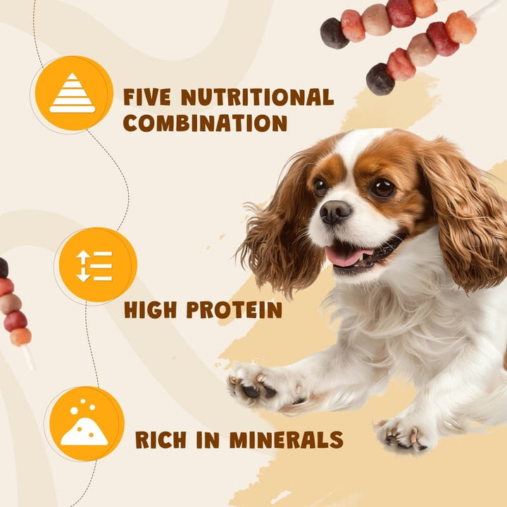 ASMPET Kabobs for Dog, Chicken Duck Salmon Rabbit Beef and Salmon Healthy Treats for Small Medium Large Dogs, 10.6oz