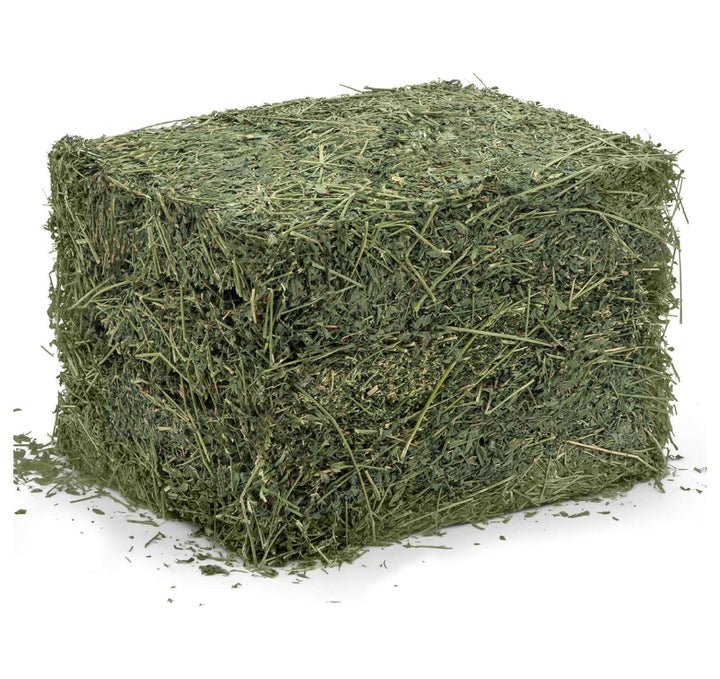 Alfalfa Hay - Dried Natural Alfalfa Hay for Rabbits, Guinea Pigs, Chinchillas, and - Protein and Fiber Rich Food for Small Animals - Healthy Pet Food
