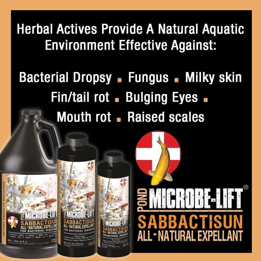SCXP Sabbactisun Disease Treatment for Ponds and Outdoor Water Gardens, Disease Expellant for Pond Fish, 32 Fl Oz