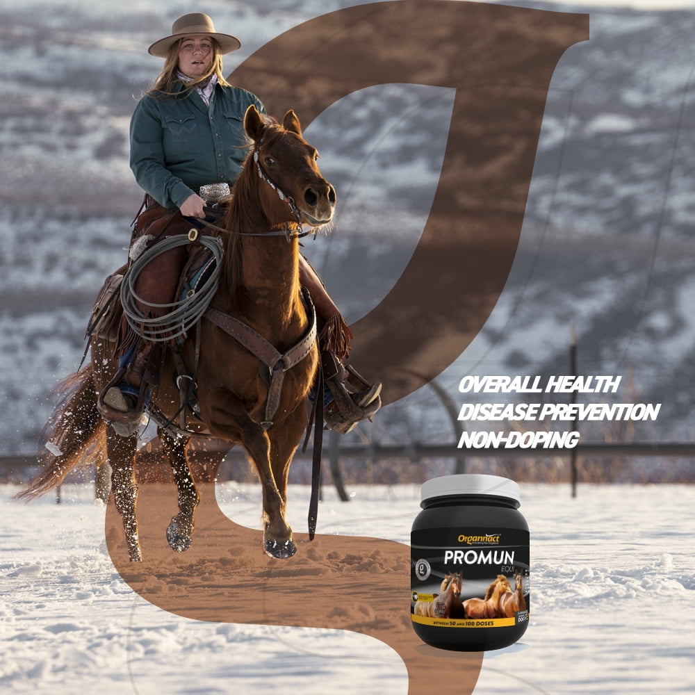 Organnact PROMUM EQUI to improve the natural immune system of horses 1.1 lb (500g)