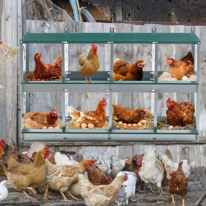 Chicken Nesting Box 8 Compartment Chicken Egg Laying Box Egg Collection