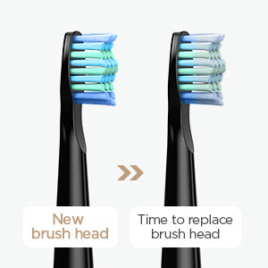 Fairywill Electric Sonic Toothbrush FW-507 USB Charge Rechargeable Adult Waterproof Electronic Tooth Brushes Replacement Heads S