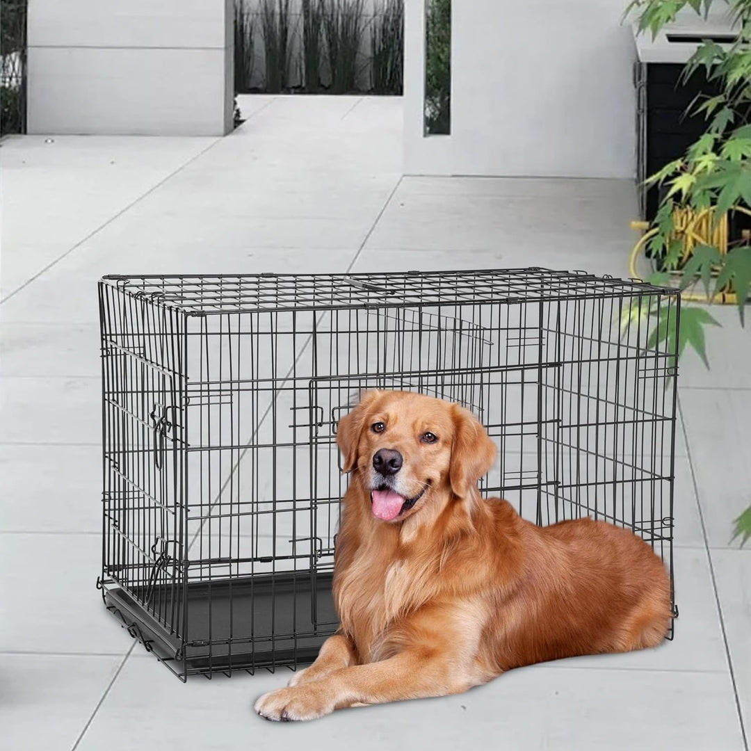 FDW 48 inch Foldable Metal Dog Crate for Large Dogs, Double Door, Divider, Removable Tray(Black)