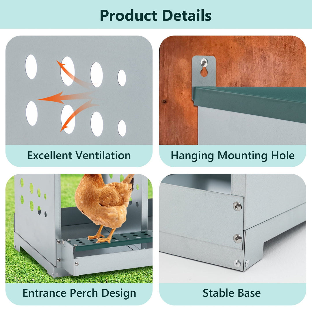 Zephypaws 4 Compartments Wall Mount Chicken Nesting Boxes for Laying Eggs, Hen Nest Box Roll Away Chicken Laying Boxes, Green