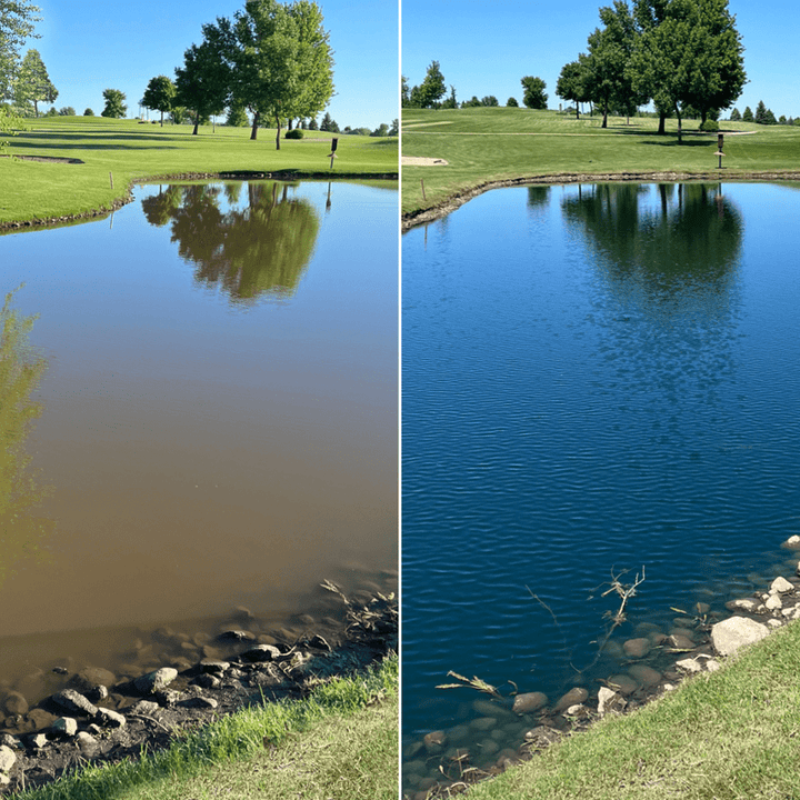 Healthy Ponds Blue Pond Water Dye – Pourable Granules, 17.6 oz Treats Up to 1.7 Million Gallons