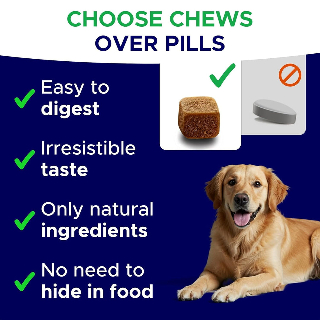 Melatonin for Dogs to Sleep 6mg - Doggie Sleep Aid Treats - Sleeping Pills for Anxiety - Extra Strength Calming Chews Large & Medium Breed Help Sleep at Night - Made in USA - 120Ct