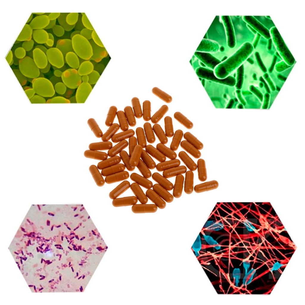 WINDLAND Aquarium Nitrifying Bacteria Super Concentrated Capsule Fish for Tank Pond Cleaning Water Purifier Supplies