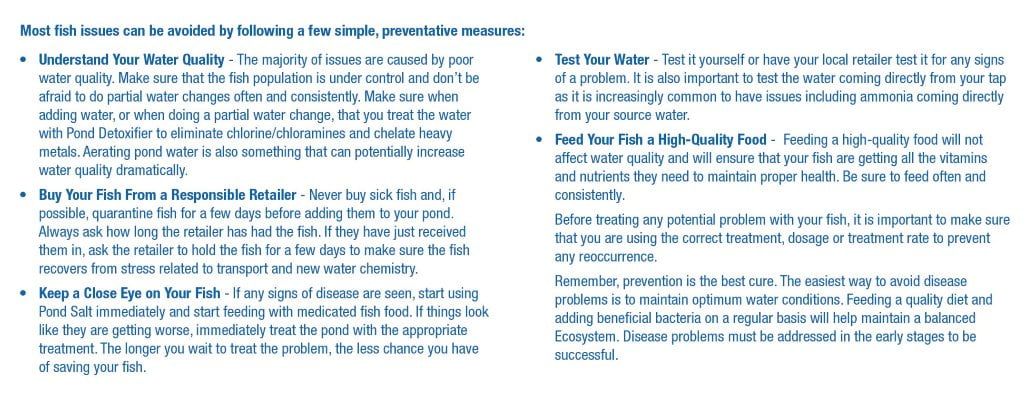 Aquascape 81041 Praziquantel Treatment for Pond Fish, 8.5 Ounces