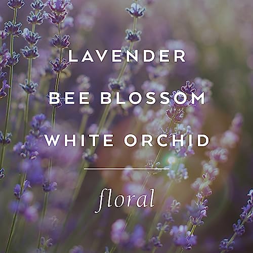 Lollia Relax Fragrance Story Gift Set – .16 fl. oz. Eau de Parfum & .33 oz. Petite Treat Handcreme – Lavender & Honey – Shea Butter Hand Cream for Women, Travel Size Perfume, Hand Lotion for Dry Hands