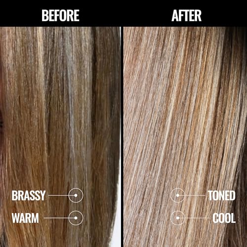 Pravana The Perfect Blonde Purple Toning Shampoo | Neutralizes Brassy, Yellow Tones | For Color Treated Hair | Chromasilk Enhances Shine & Protection | Vegan, Cruelty-Free | Paraben & Sulfate Free