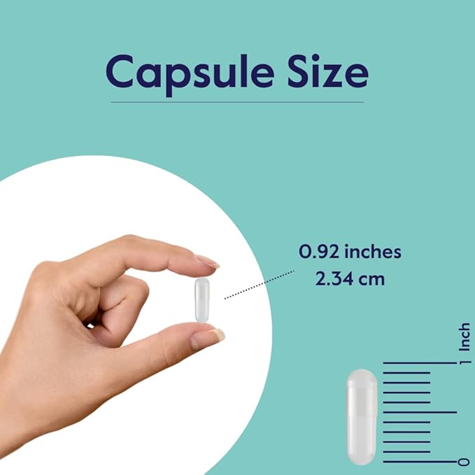 BESTVITE HMB 1000mg per Serving (240 Vegetarian Capsules) - No Stearates - Vegan - Non GMO - Gluten Free - HMB Supplement