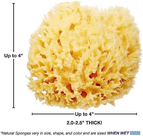 HartFelt Delicate Skin Wool Sea Sponge 4 in | Real Natural Sponges for Body and Face Gentle Care | Luxurious Lather