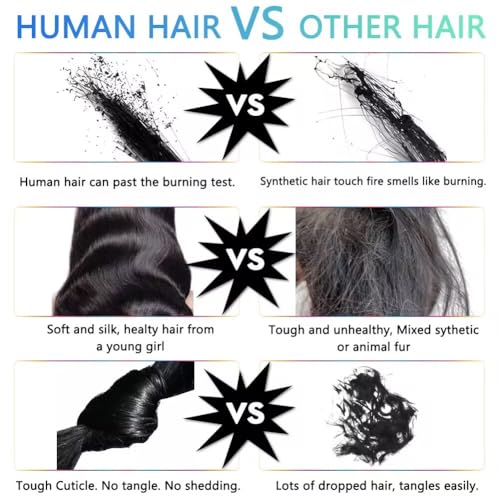 28 Inch 13x6 Balayage Highlight Lace Front Wig Human Hair 13x6 HD Lace Front Wigs Human Hair Body Wave Wig 180% Density FB/27 Colored Frontal Wigs Glueless for Women Ombre