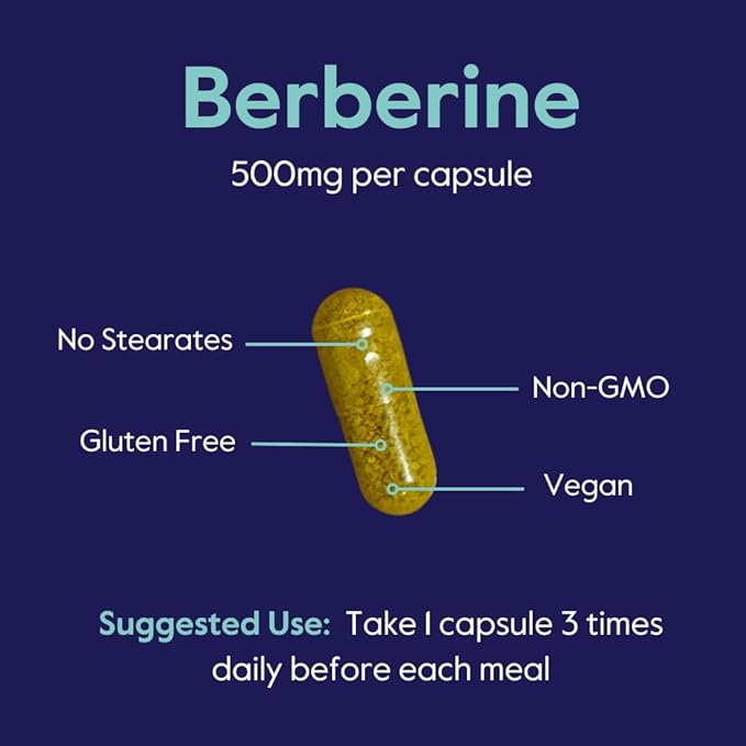 BESTVITE Berberine 500mg Per Capsule (120 Vegetarian Capsules) - No Fillers - No Stearates - No Flow Agents - Vegan - Gluten Free - Non GMO