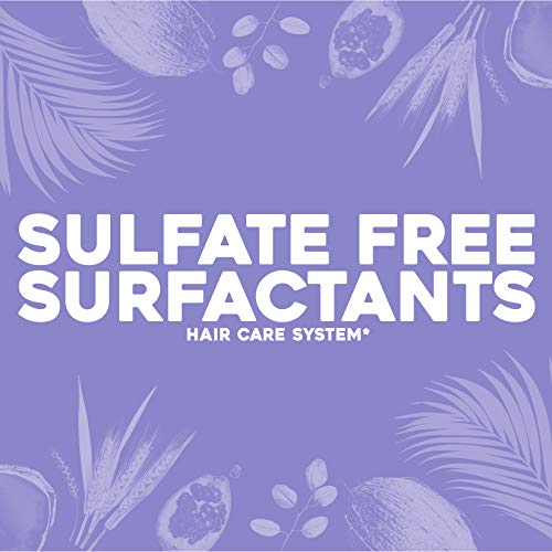 OGX Thick & Full + Biotin Collagen Extra Strength Volumizing Shampoo with Vitamin B7 Hydrolyzed Wheat Protein for Fine Hair. Sulfate-Free Surfactants Thicker, Fuller Hair, 13 Fl Oz