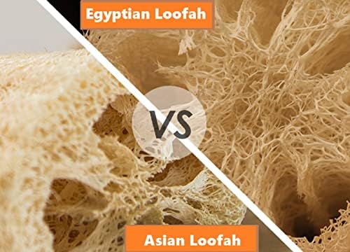 Super Jumbo 26" - 30" Whole Egyptian Loofah 100% Natural Organic Loofah Exfoliating Scrubber for Shower, Natural Loofah Sponge Body Scrubber, for Men and Women