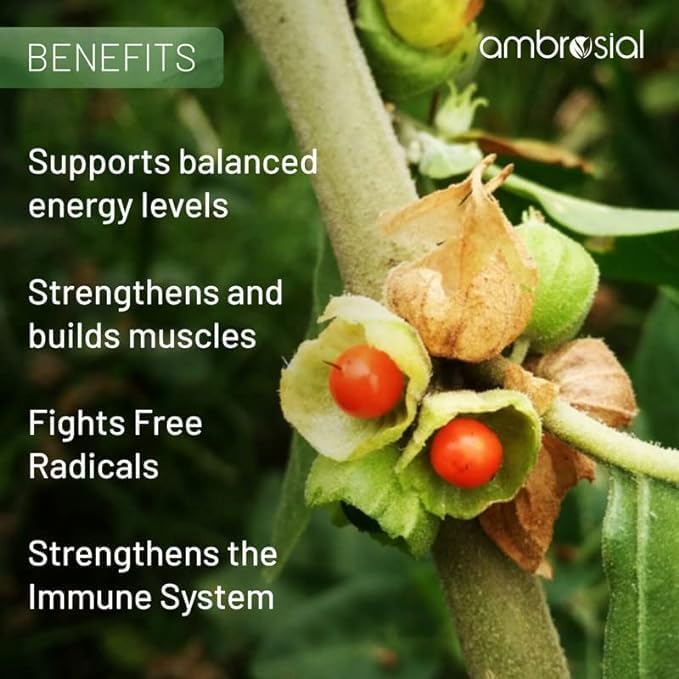 AMBROSIAL Ashwagandha 500mg (Pack of 1-120 Capsules)